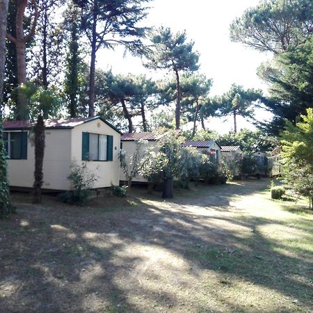 Villaggio Mithos Misano Adriatico Ngoại thất bức ảnh